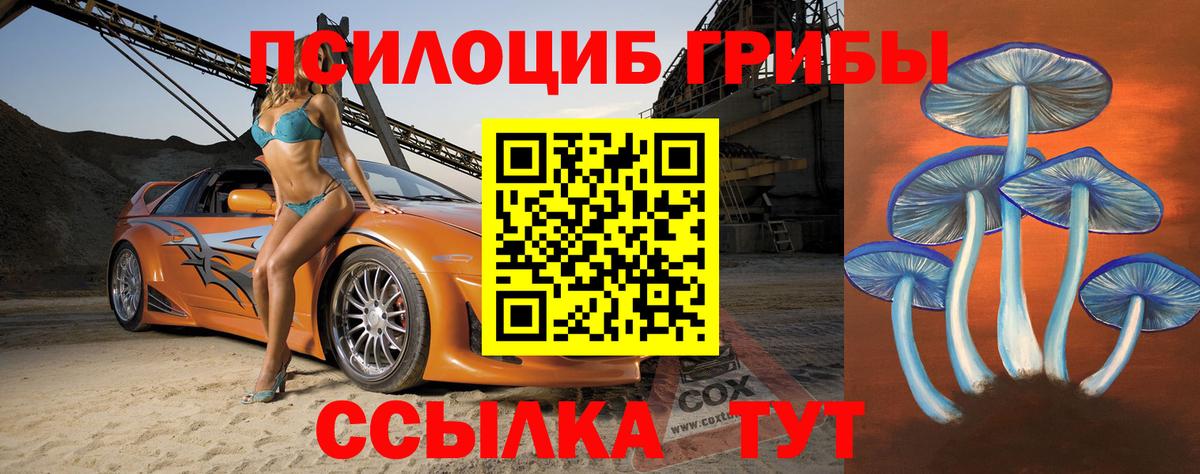 Лесозаводск  Псилоцибиновые грибы MAGIC MUSHROOMS  как найти закладки  Вход с VPN 